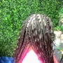 Starter Locs