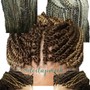 Individual Braids