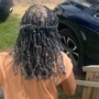 Butterfly locs