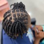 Natural Braided Updo