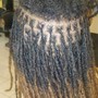 Loc Coils start up