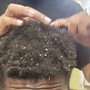 Root Touch Up