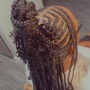 Tribal Braids / Fulani braids