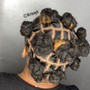 Bantu Knots