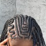 Starter Locs