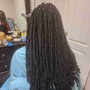 Women's singles braids