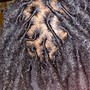 Wash & Retwist