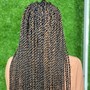 Medium Senegalese Twist