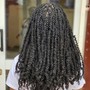 Small Passion Twists