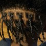 Twist (natural hair)