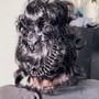 Frontal Wig Install