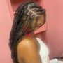 Havana Twists