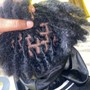 Loc retwist