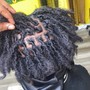 Loc retwist