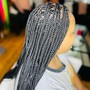 Medium Feed in Braids (Lemonade)