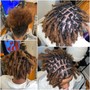 Root Touch Up