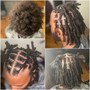 Starter locs/ coils