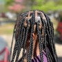 Boho Invisible Locs + Human Hair Included