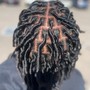 Medium Starter Locs