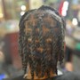 Starter Locs-Interlocking and insta locking available must have consultation before scheduling