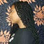 Natural Twists