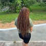 Soft/ Destressed Locs (Medium)