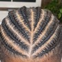 Knotless Braids(Large)