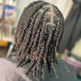 Two Strand twist (neck length and longer)