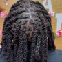 Instant locs (crotchet starters)