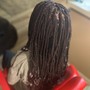 Root Touch Up