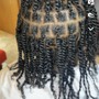 Two strand twists on natural hair