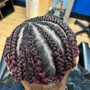 Tree Braids with Virgin hair included