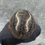 Cornrows