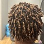 Starter locs