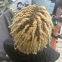 Starter Loc Two-Strand Twists