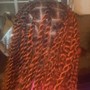 Sengalese Twists