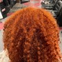 Existing Client: Basic Wash, Blowout and Curl