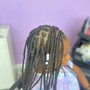 Natural Twists/ 2 strand starter locs