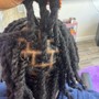 Natural Twists/ 2 strand starter locs