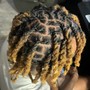 Natural Twists/ 2 strand starter locs