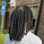 Two Strand Twists