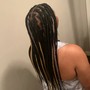 10 Straight Back Feed-In Braids