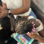 Kid's Braids