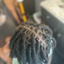 Starter Locs