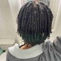 Starter Locs Comb Coils Medium