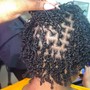 Starter Locs