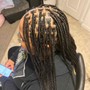 Kid's box Braids medium