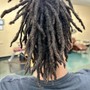 THE LOCS (taper/fade included)