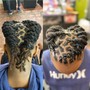 Comb Coils/ Starter Locs