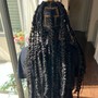 Starter locs( twist or coils)